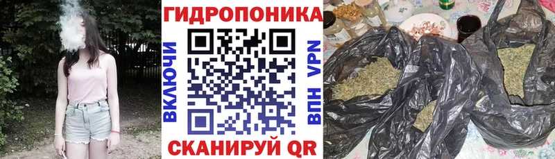 Купить где  Верхотурье  Бошки Шишки OG Kush 